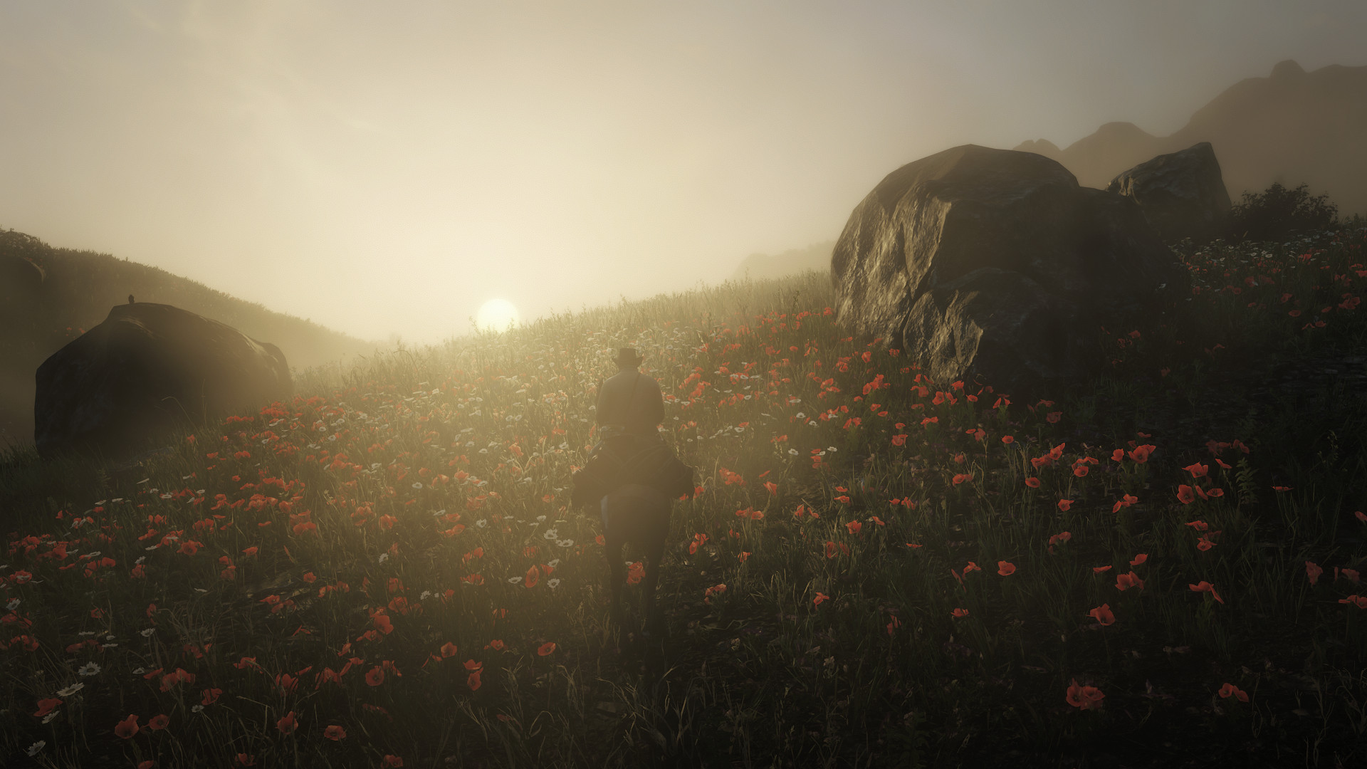Arthur Morgan on a horse with a bundled bear hide stored on the back. He's riding into the sunset through a meadow of poppies in Grizzlies East.