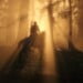 Arthur Morgan riding a blue roan Nokota horse in the swamp. Golden sunlight pours through the trees and the light mist in the air. Arthur and the horse are somewhat silhouetted against the light.