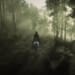 Arthur Morgan, dressed in black and riding a white Arabian in the Roanoke woods. Sunlight shines through the mist and trees.
