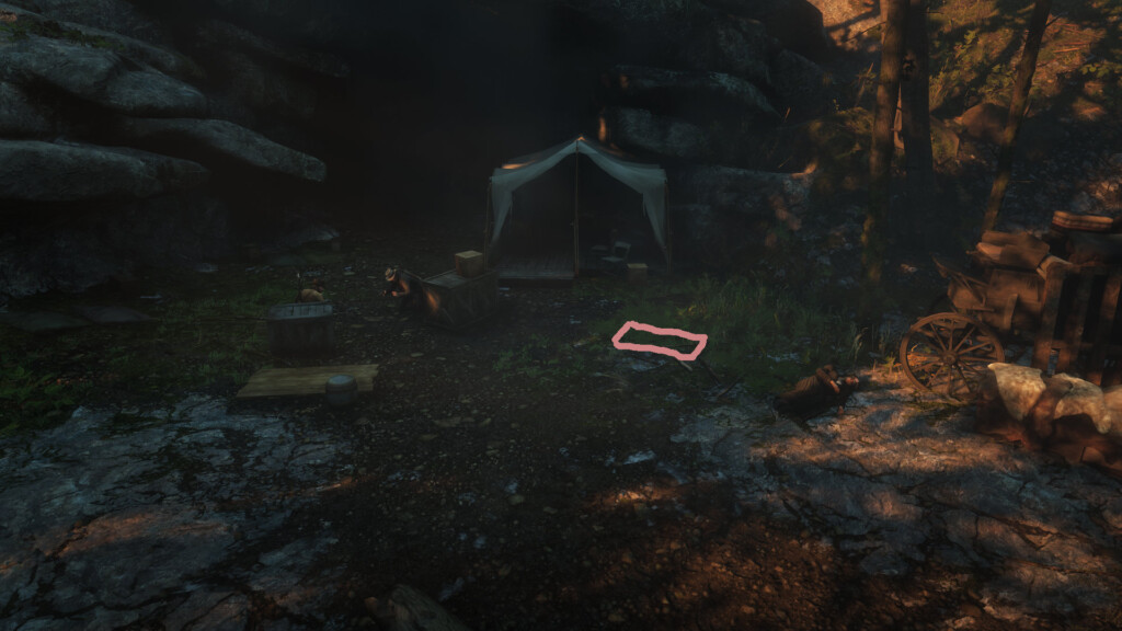 An image taken during "Red Dead Redemption." It shows Susan Grimshaw lying dead on the ground. Nearby, perhaps 8 feet away, a pink box outlines the place where Molly O'Shea died.