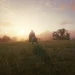 Arthur Morgan on a white roan Nokota, galloping through a field towards the sun.