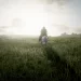 Arthur Morgan riding through a green field in the Heartlands towards the rising sun.