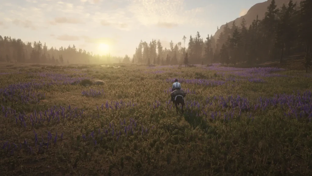Arthur Morgan riding through the field of lupines near Hanging Dog Ranch at dawn.